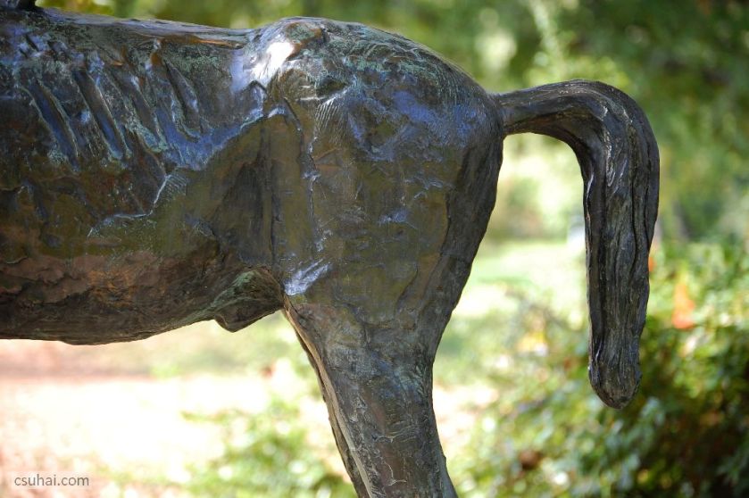 DSC_19662014-10-11_12-58-44