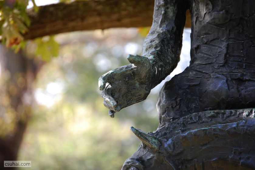 DSC_19682014-10-11_12-58-53