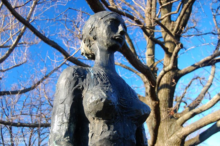 DSC_34362014-12-27_12-59-08