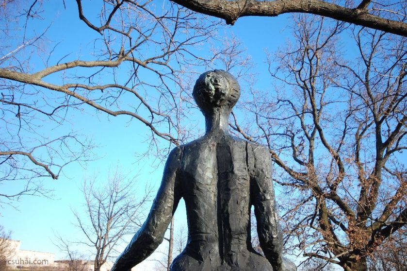 DSC_36162014-12-27_13-49-16