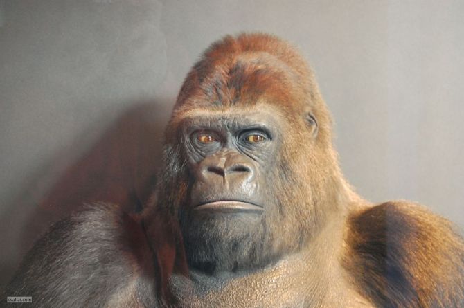 DSC_53362015-09-18_15-16-07