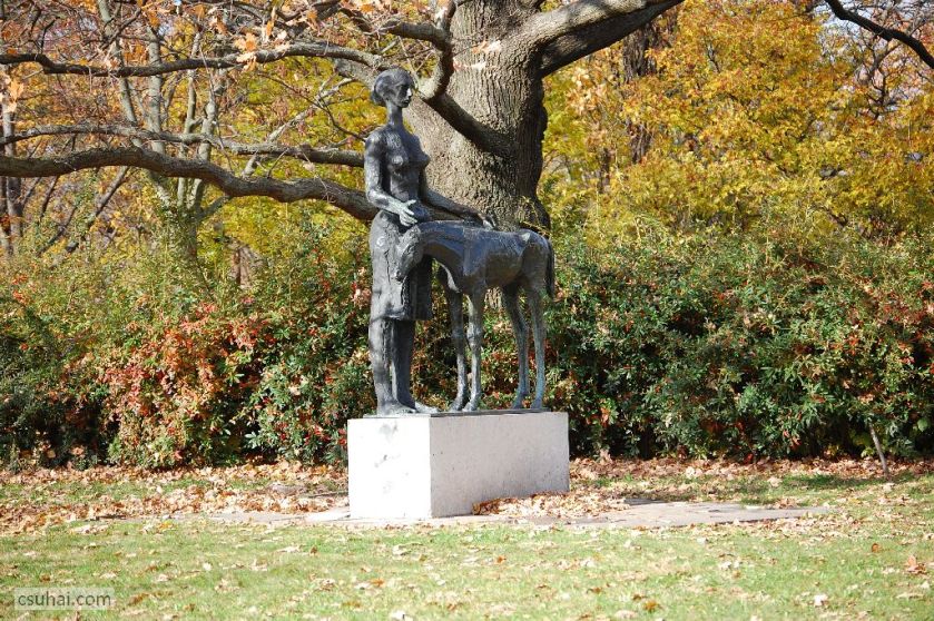 DSC_60542015-11-11_12-55-02