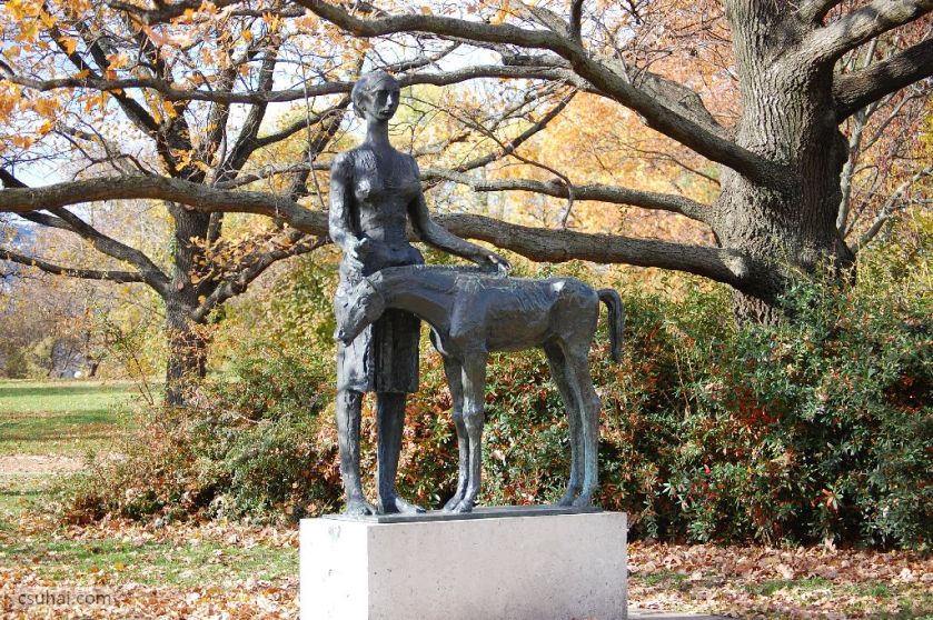 DSC_60572015-11-11_12-55-23