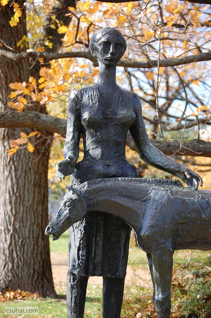 DSC_60602015-11-11_12-55-42