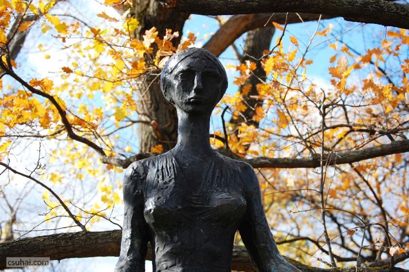 DSC_60622015-11-11_12-55-55