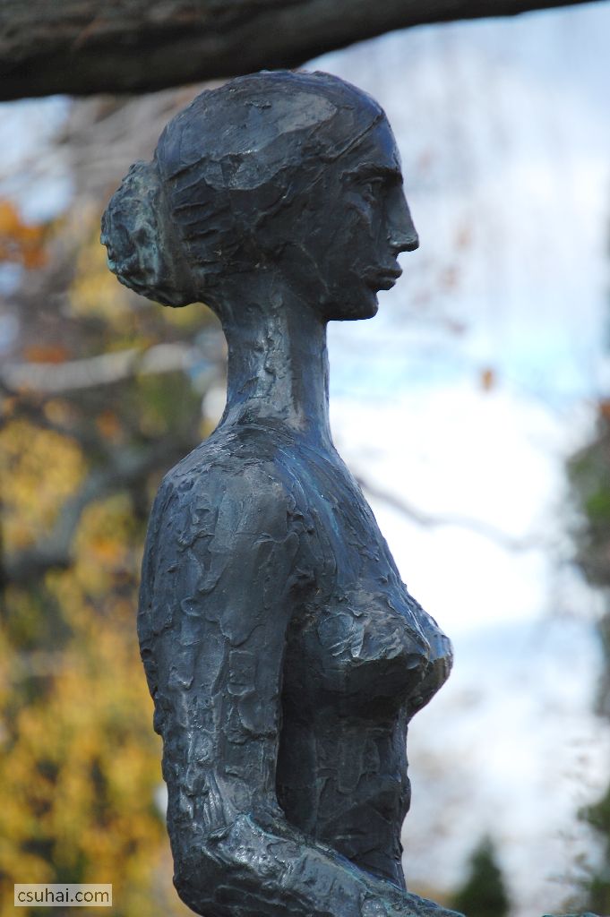 DSC_60652015-11-11_12-56-24