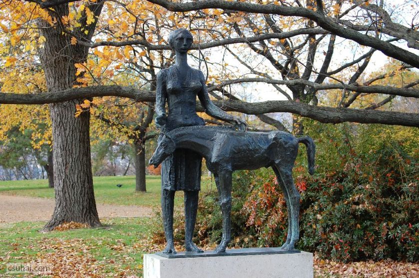 DSC_60772015-11-11_12-56-59