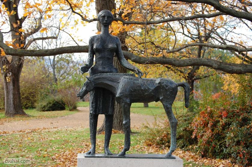 DSC_60882015-11-11_12-58-37