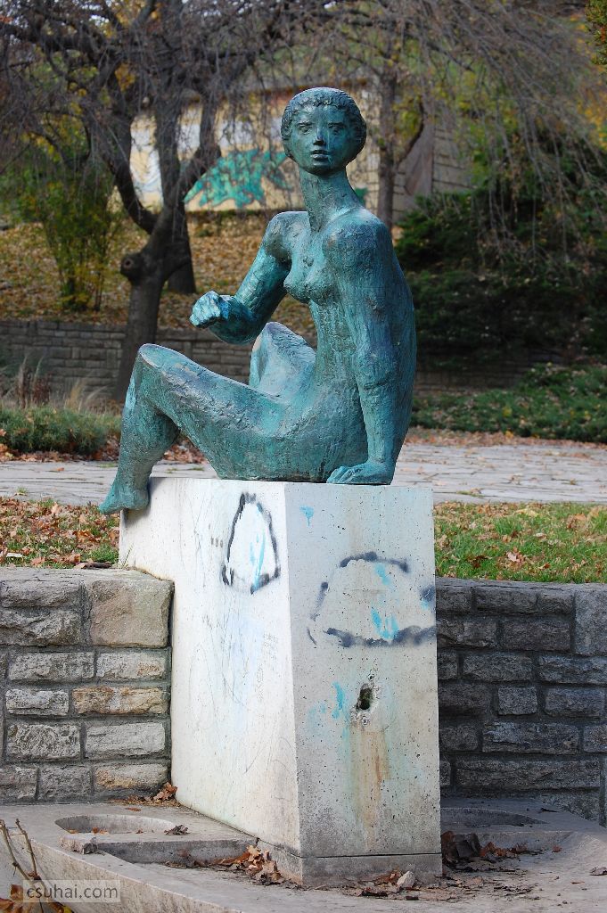 DSC_61442015-11-11_13-05-01