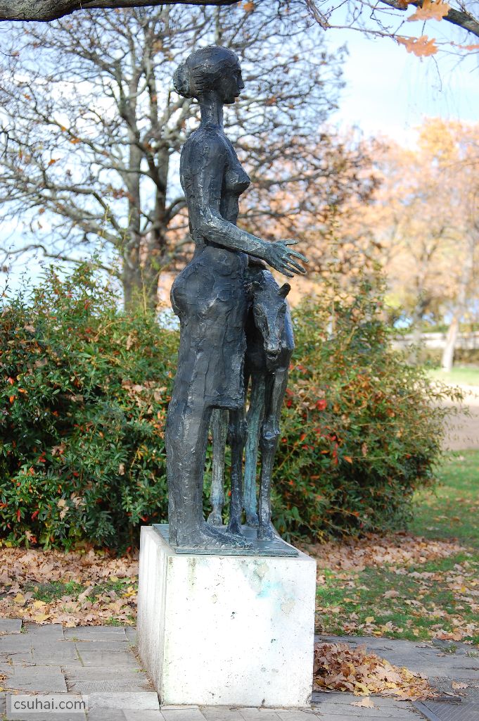 DSC_61712015-11-11_13-24-10