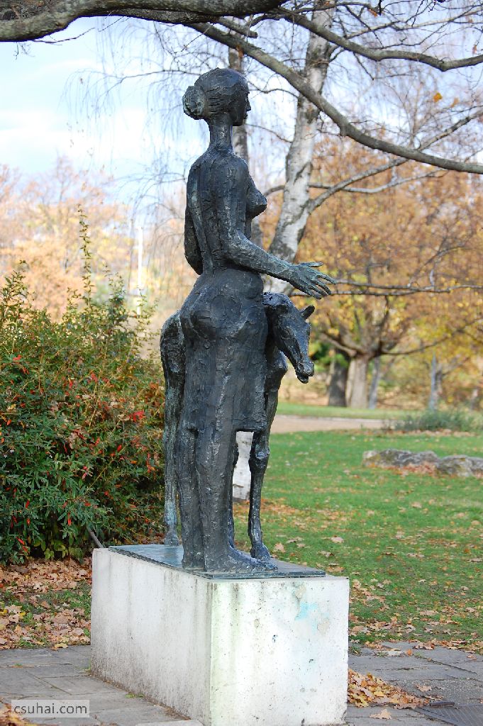 DSC_61722015-11-11_13-24-17