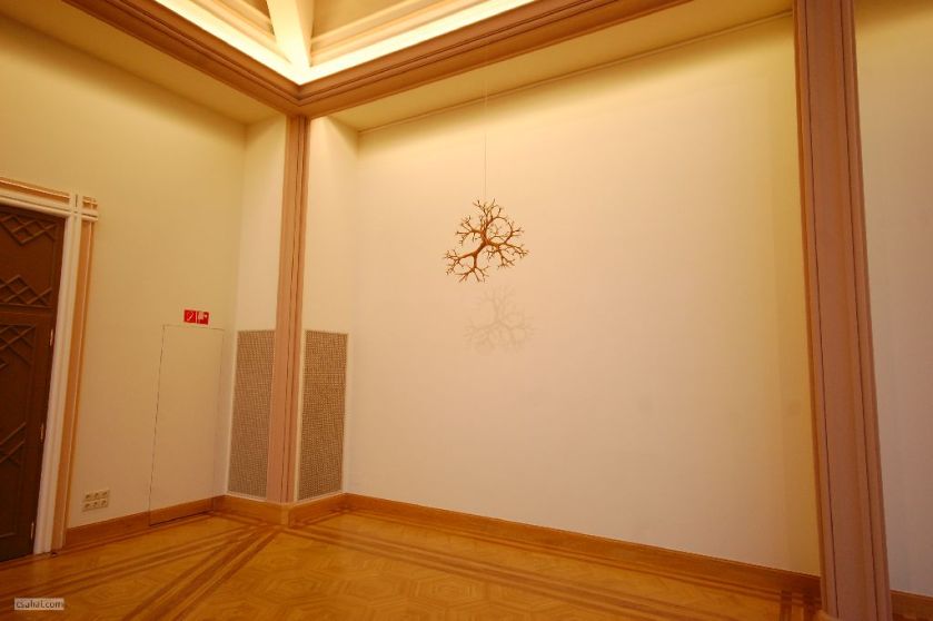 DSC_68692016-02-07_13-13-16