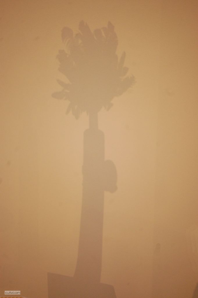 DSC_69062016-02-07_13-17-27