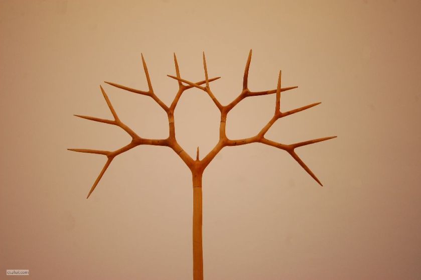 DSC_69362016-02-07_13-19-54