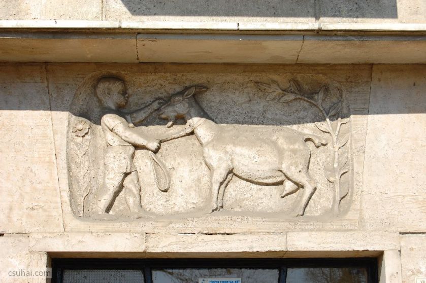 DSC_08162011-03-09_12-20-19