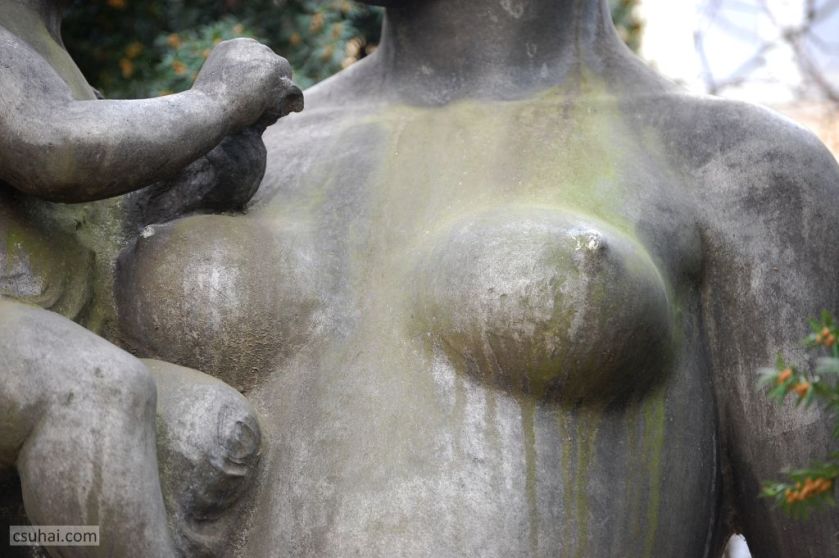 DSC_56482015-02-25_12-31-12