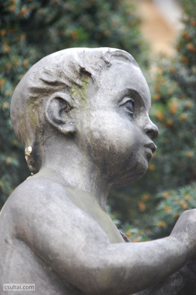 DSC_56502015-02-25_12-31-19