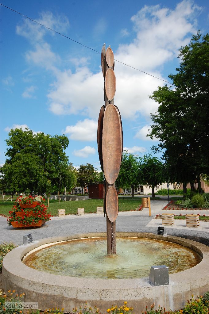 DSC_59072016-08-06_15-50-49