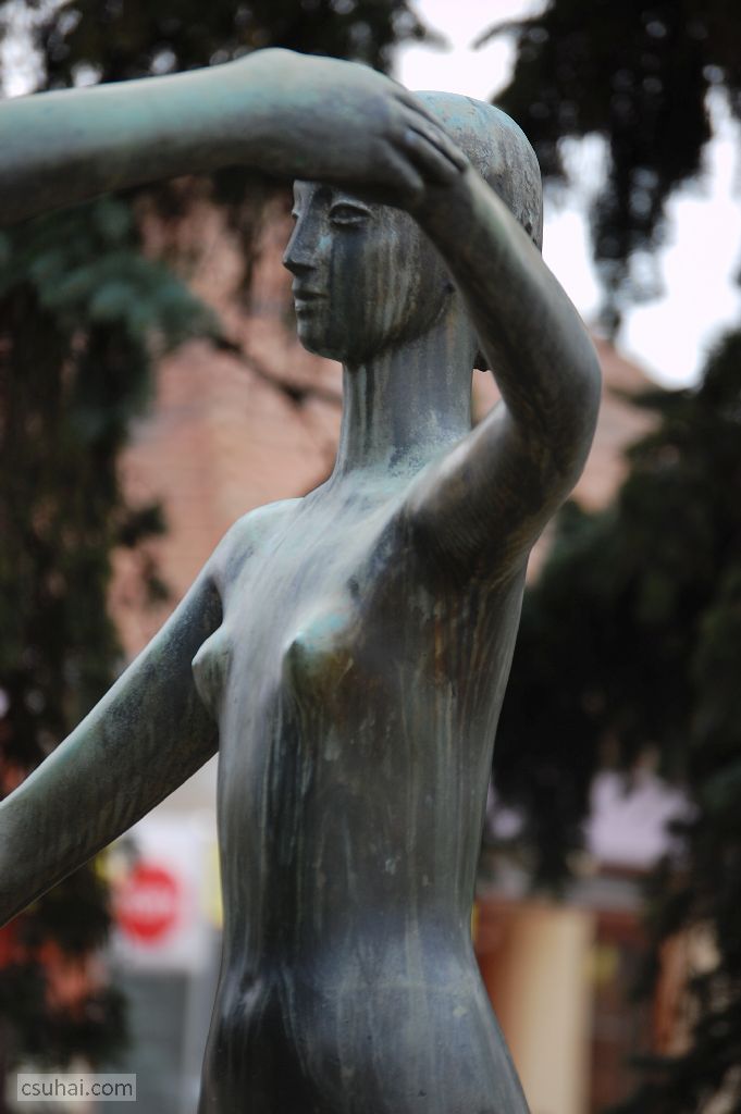 DSC_80862016-02-28_12-36-39