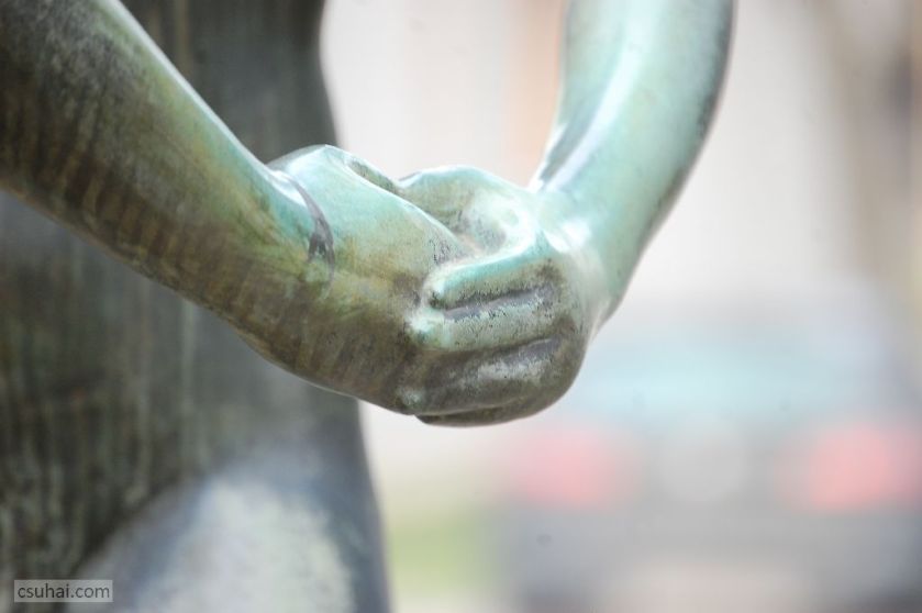 DSC_80992016-02-28_12-38-04