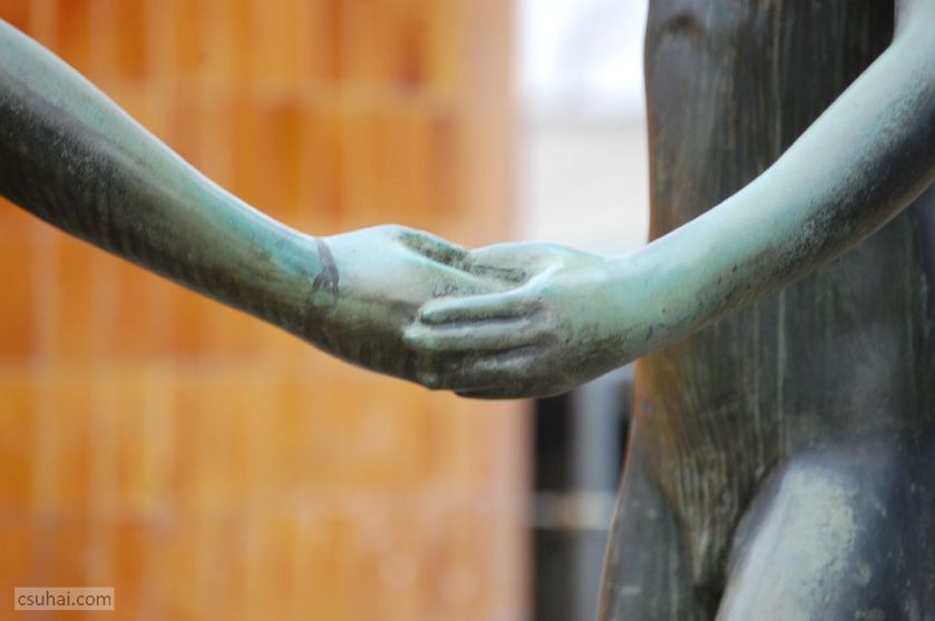 DSC_81082016-02-28_12-38-53