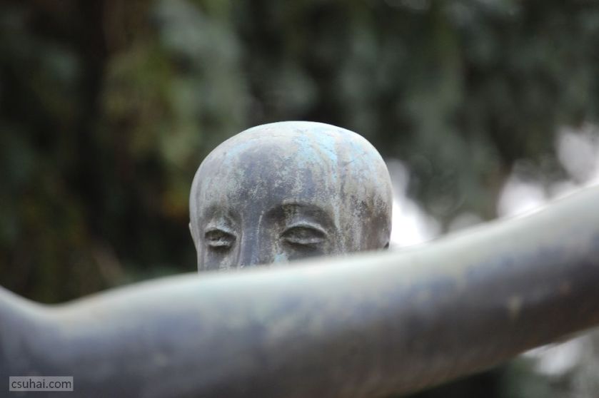 DSC_81442016-02-28_12-43-30