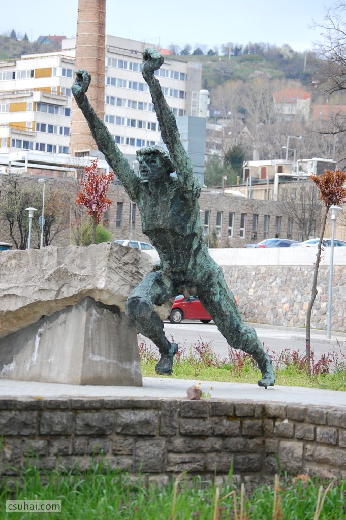 DSC_92232016-03-27_11-39-25