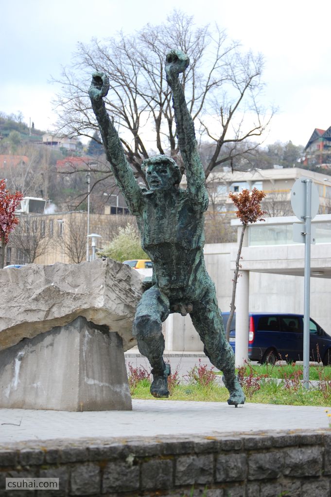 DSC_92242016-03-27_11-39-33