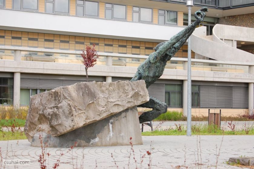 DSC_92312016-03-27_11-40-45