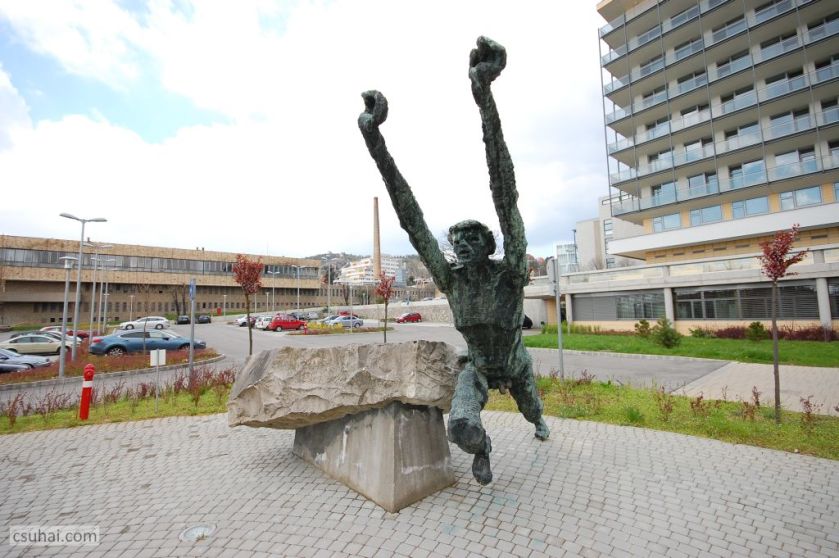 DSC_92512016-03-27_11-43-46