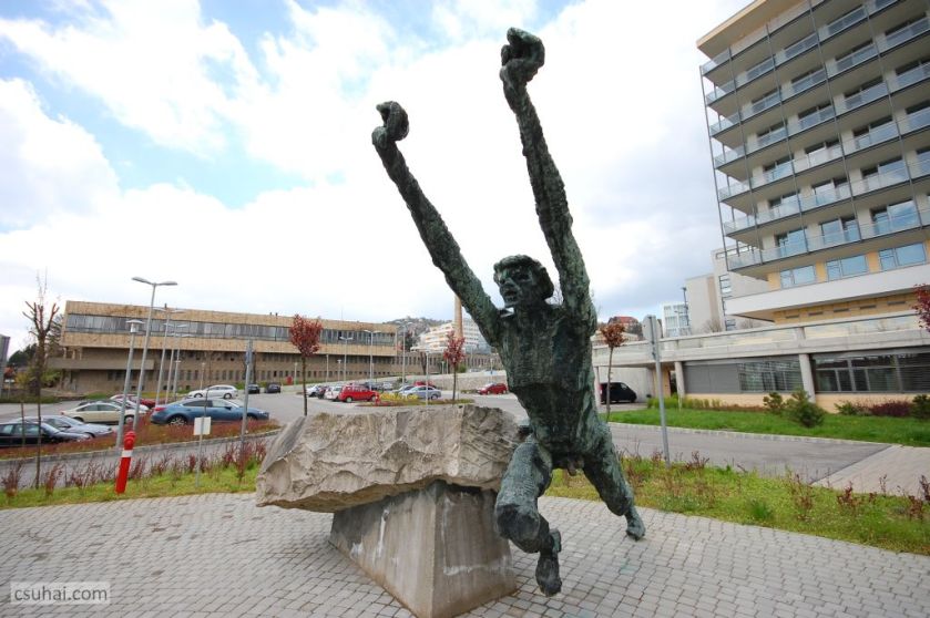 DSC_92522016-03-27_11-43-49