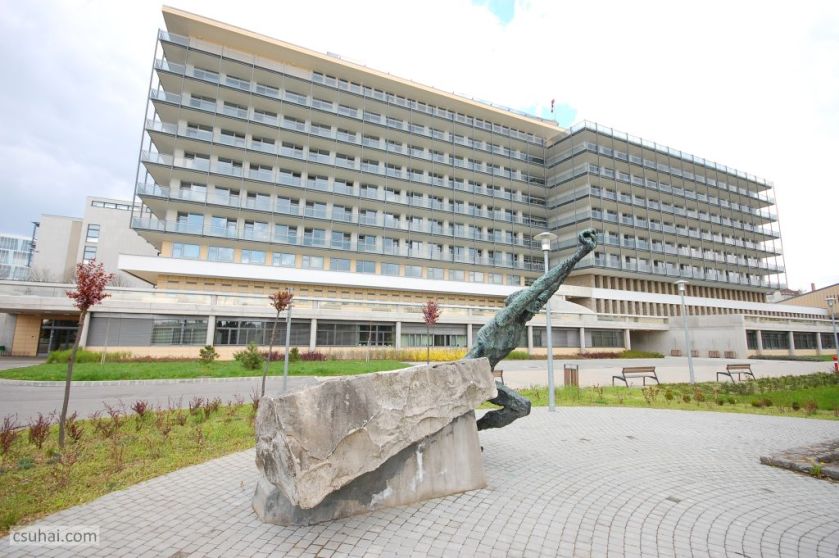 DSC_92532016-03-27_11-43-59