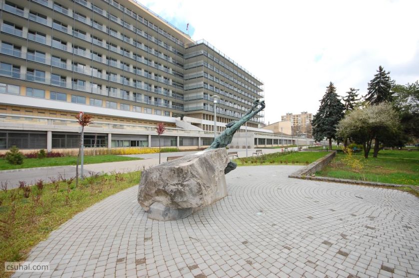 DSC_92552016-03-27_11-44-09