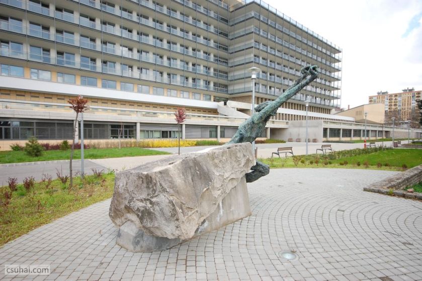 DSC_92582016-03-27_11-44-13