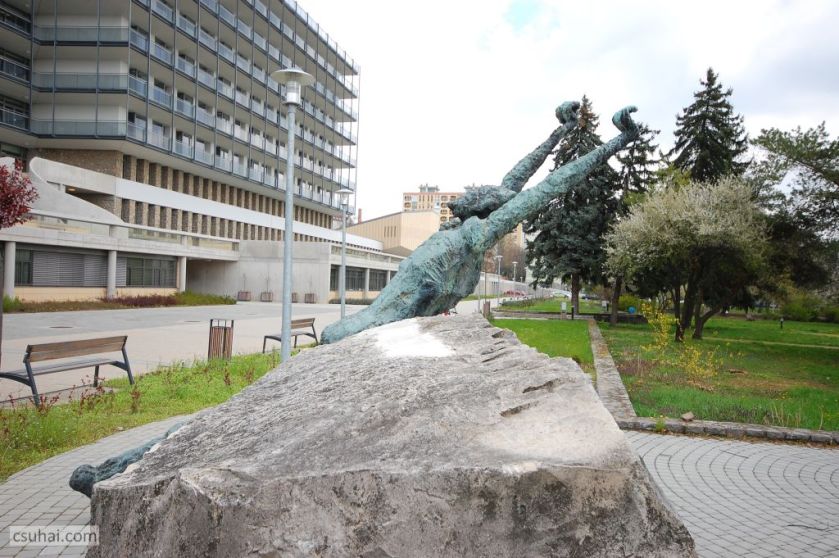 DSC_92612016-03-27_11-44-31