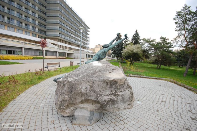 DSC_92622016-03-27_11-44-33