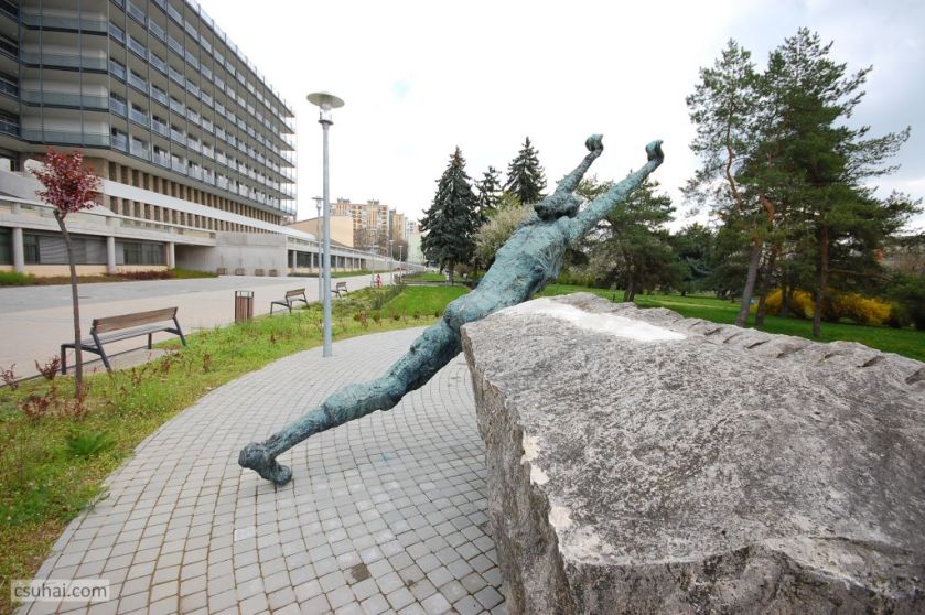 DSC_92632016-03-27_11-44-37