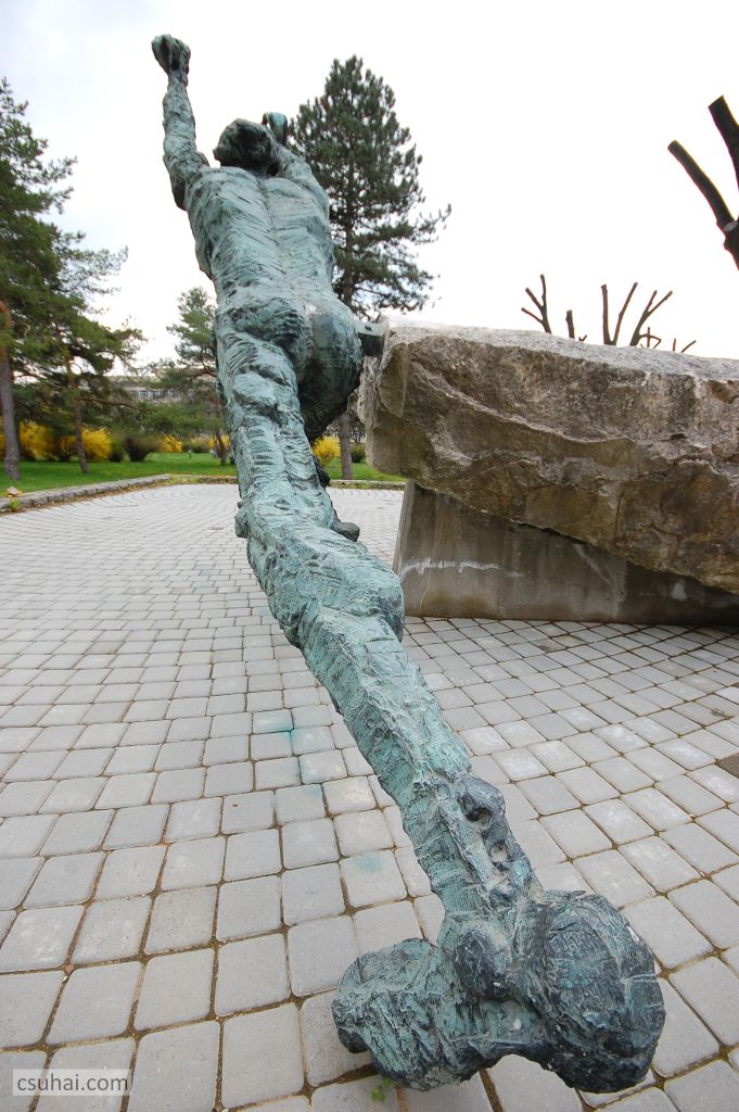 DSC_92672016-03-27_11-44-57