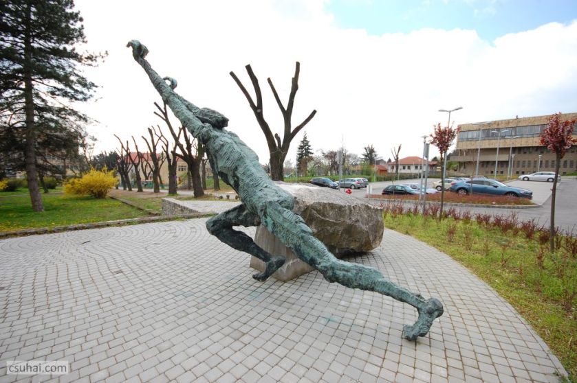 DSC_92692016-03-27_11-45-08