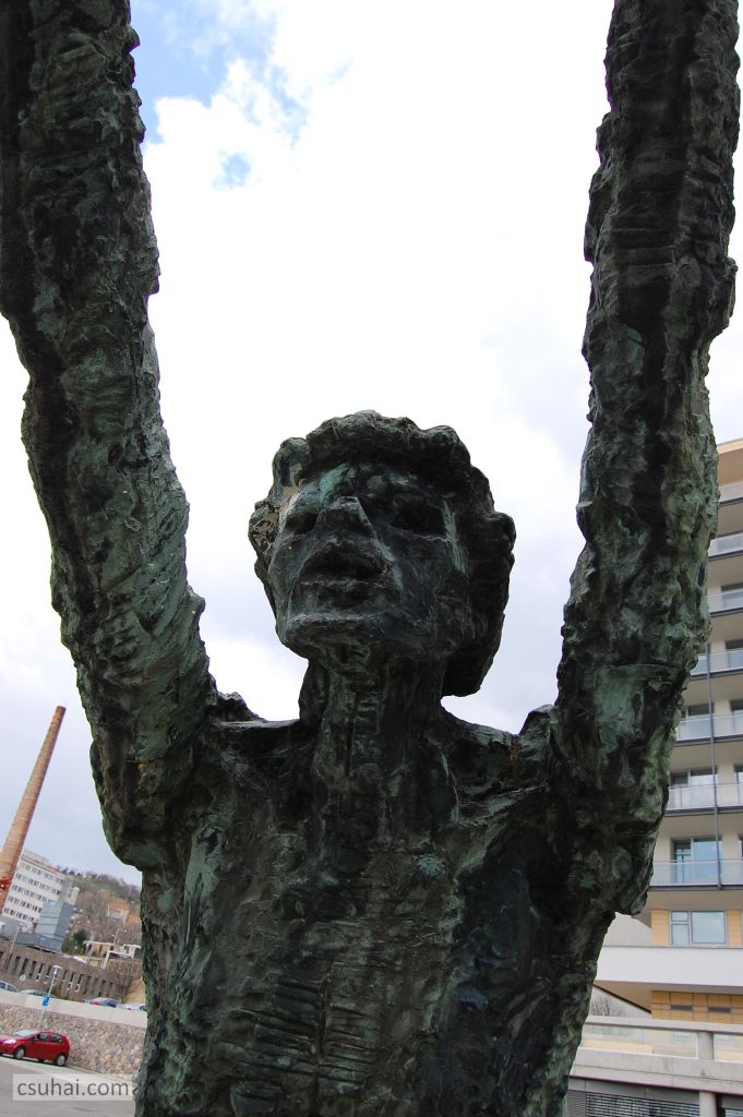 DSC_92992016-03-27_11-47-38