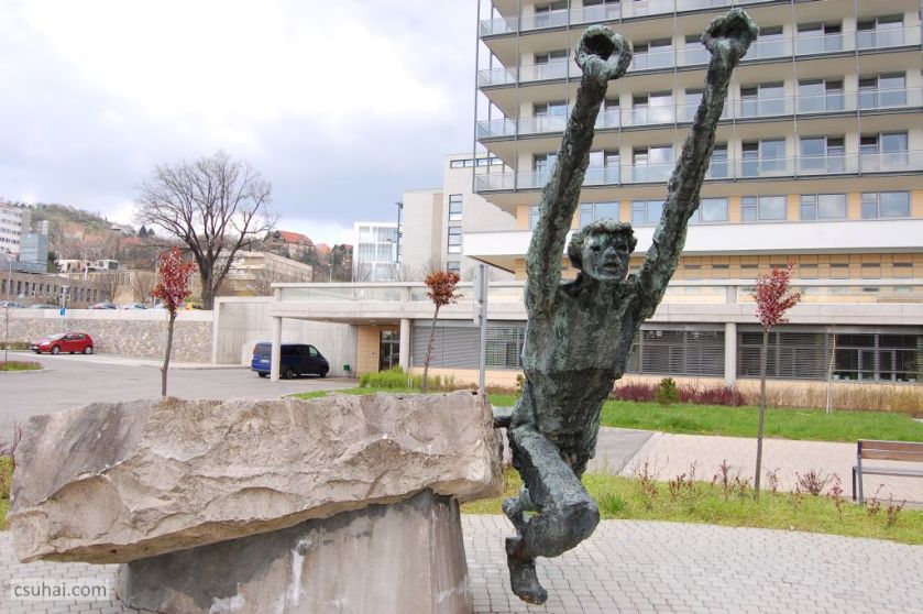 DSC_93102016-03-27_11-48-28