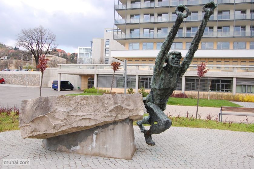 DSC_93132016-03-27_11-48-38