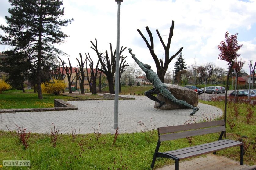 DSC_93152016-03-27_11-49-06