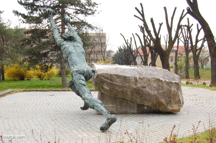 DSC_93162016-03-27_11-49-15