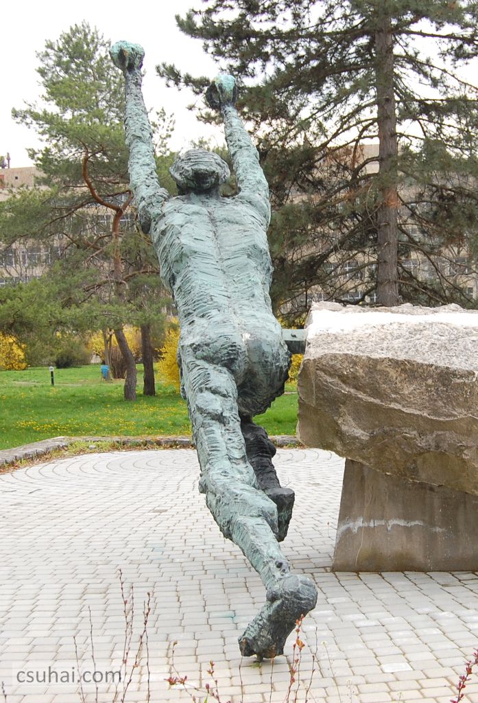 DSC_93212016-03-27_11-49-19