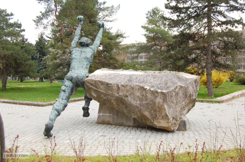 DSC_93222016-03-27_11-49-25