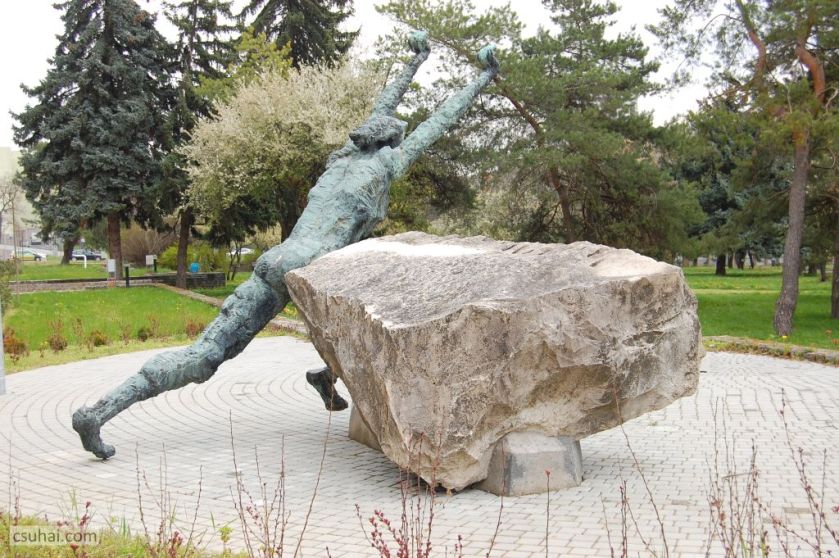 DSC_93232016-03-27_11-49-34