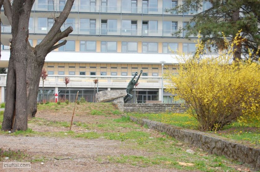 DSC_93252016-03-27_11-50-23