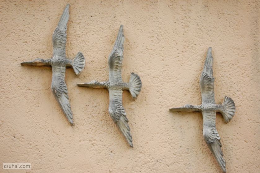 DSC_93382014-04-20_12-30-07