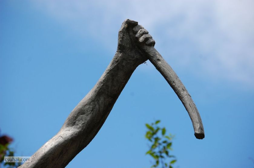 DSC_54792012-08-03_11-30-07